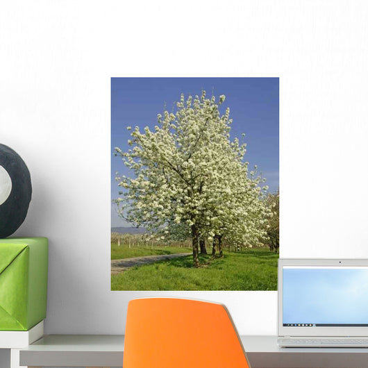 Apfelbaumbl Te Wall Decal