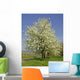 Apfelbaumbl Te Wall Decal