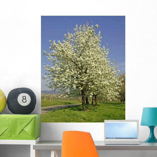 Apfelbaumbl Te Wall Decal