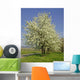 Apfelbaumbl Te Wall Decal