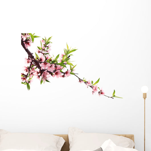Spring Peach Blossom