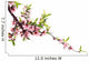 Spring Peach Blossom