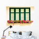 Colorful Flower Box Windows