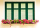 Colorful Flower Box Windows