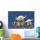 Camels