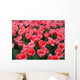 Tulipani Wall Mural