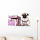 Purebred Pug Puppy Wall Mural