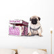 Purebred Pug Puppy Wall Mural