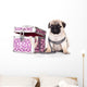 Purebred Pug Puppy Wall Mural