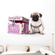 Purebred Pug Puppy Wall Mural
