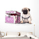 Purebred Pug Puppy Wall Mural