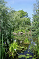 Peaceful Summer Water Garden