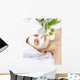 Spa Facial Mask Dayspa Wall Mural