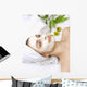 Spa Facial Mask Dayspa Wall Mural