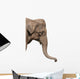 An Elephant Head Wall Decal