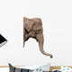 An Elephant Head Wall Decal