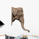 An Elephant Head Wall Decal
