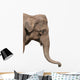An Elephant Head Wall Decal