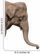 An Elephant Head Wall Decal