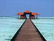 Bodu Huraa Wall Decal