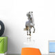 White Horse Isolated Wall Decal