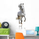 White Horse Isolated Wall Decal