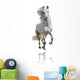 White Horse Isolated Wall Decal