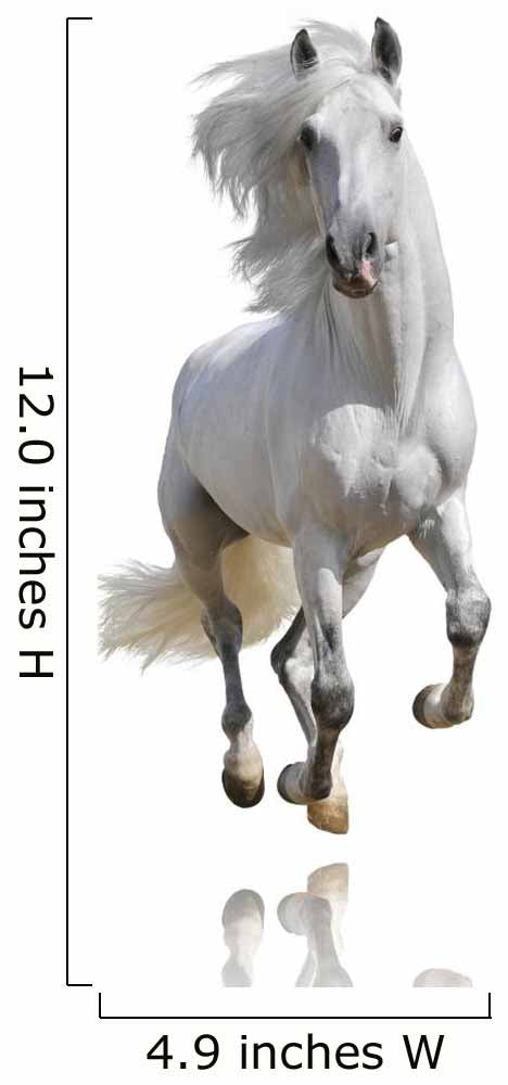 White Horse Isolated Wall Decal