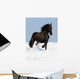 Black Friesian Horse on the Meadow Wall Mural