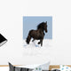 Black Friesian Horse on the Meadow Wall Mural