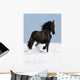 Black Friesian Horse on the Meadow Wall Mural