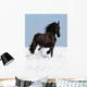 Black Friesian Horse on the Meadow Wall Mural