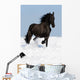Black Friesian Horse on the Meadow Wall Mural