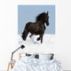 Black Friesian Horse on the Meadow Wall Mural