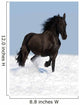 Black Friesian Horse on the Meadow Wall Mural