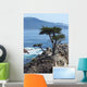 17 Mile Drive Wall Decal