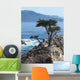 17 Mile Drive Wall Decal