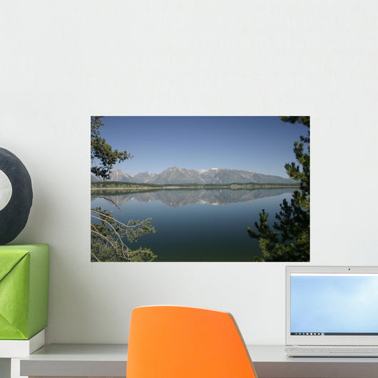 Tetons Moring Wall Mural