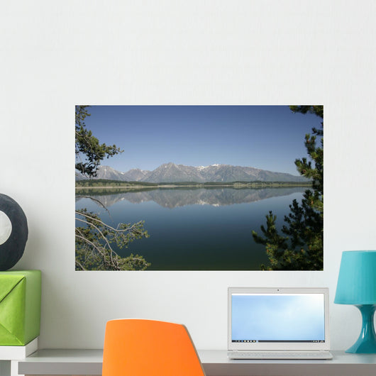 Tetons Moring Wall Mural