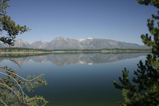 Tetons Moring Wall Mural