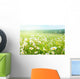 field of daisy flowers Wall Mural