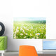 field of daisy flowers Wall Mural