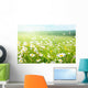 field of daisy flowers Wall Mural
