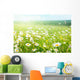 field of daisy flowers Wall Mural