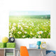 field of daisy flowers Wall Mural