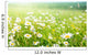 field of daisy flowers Wall Mural