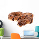 Royal Python Wall Decal