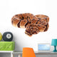 Royal Python Wall Decal