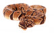 Royal Python Wall Decal