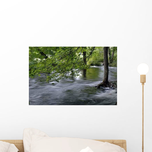 Flood Wall Decal